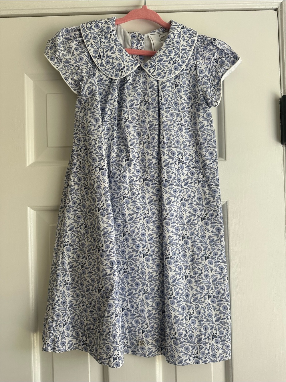 Blue Floral Peter Pan Collar Dress for Kids